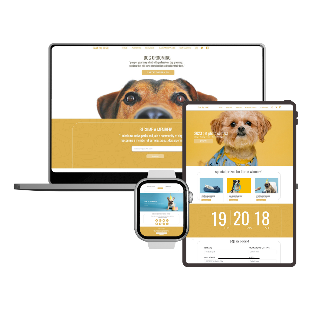 Screenshot of WoofCare Concept Clinic website design